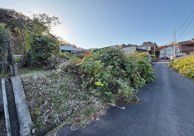 鳥取市鹿野町今市　土地